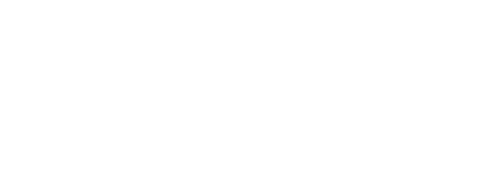 logo-emapic