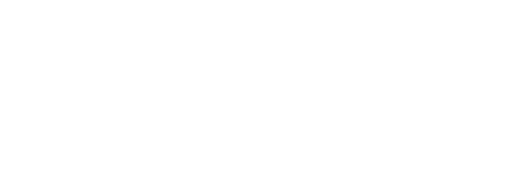 logo-exe