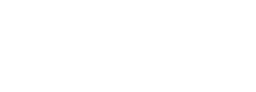 logo-ude